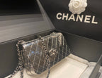 Chanel Limited Edition Quilted Plexiglass Flap Bag (Silver)