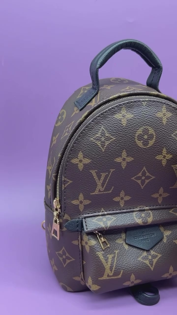 Louis Vuitton Palm Springs Mini in Monogram Reverse Canvas (Brown)